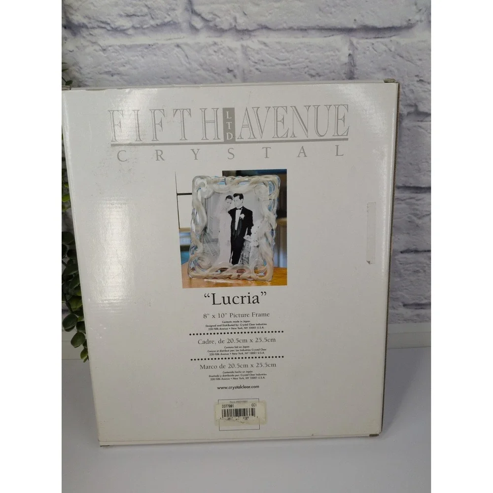 NIB!🩷Crystal Picture Frame 8x10 Fifth Avenue Lucria Frosted Glass Wedding Gift